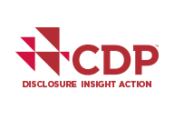 Logotipo do CDP