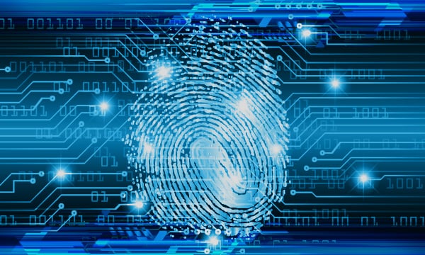 Fingerprint over computer graphic