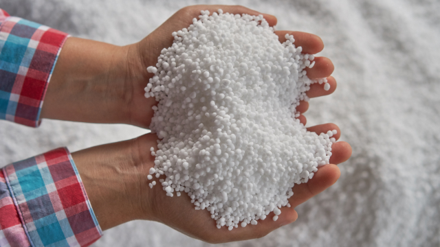 A person holding tiny white plastic beads