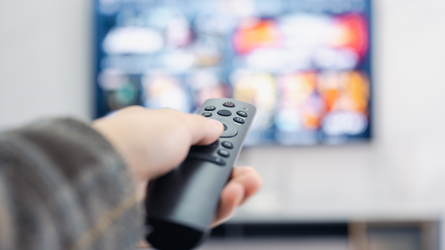 The person holding a television remote