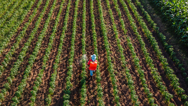 Agricultural field