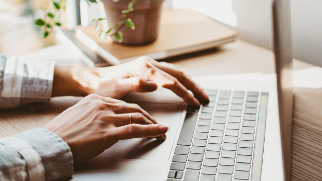 Hands typing on a laptop at a sunlit desk with a small plant nearby.