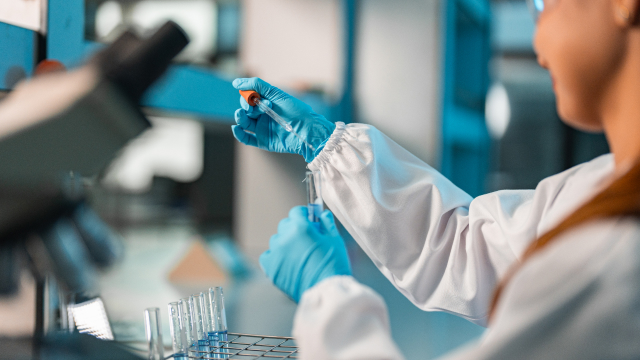 Scientist analyzing lab sample