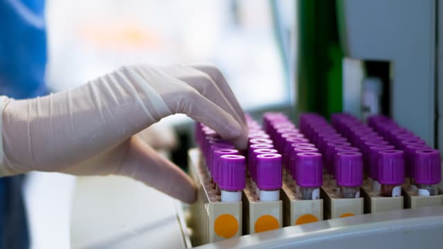 Hand wearing gloves in a lab