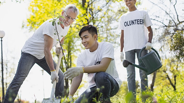 Volunteers planting trees.