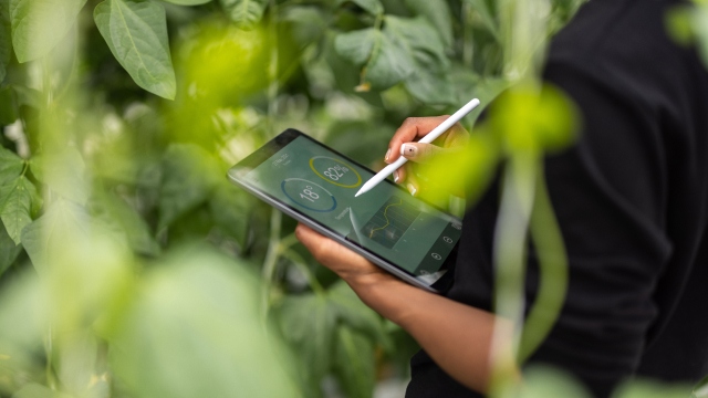 Woman using a tablet displaying circle charts and a graph
