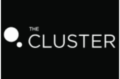 The Cluster