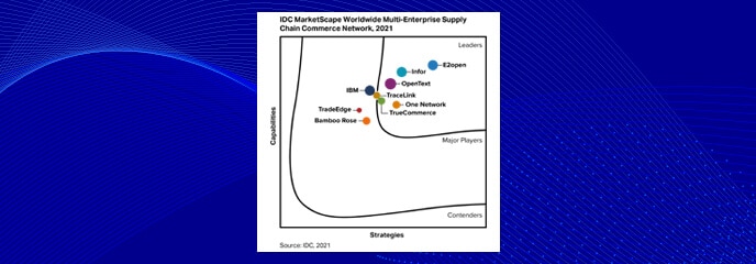 IDC MarketScape brief image