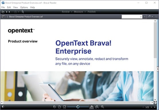 Brava! Reader screen