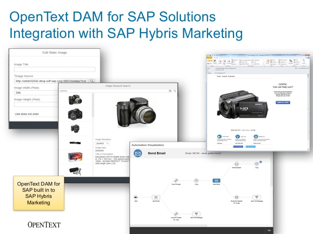 OpenText Digital Asset Management for SAP® Solutions