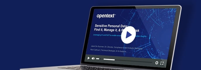 Webinar on-demand: Safeguard privacy and reduce risk with AI