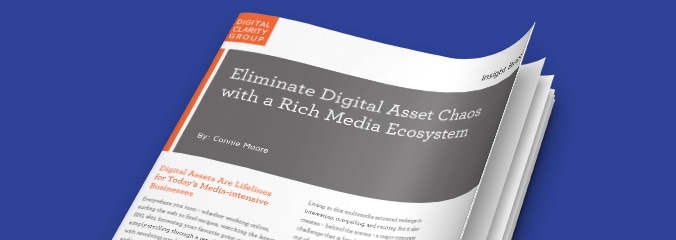Eliminate digital asset chaos with a rich media ecosystem report thumbnail