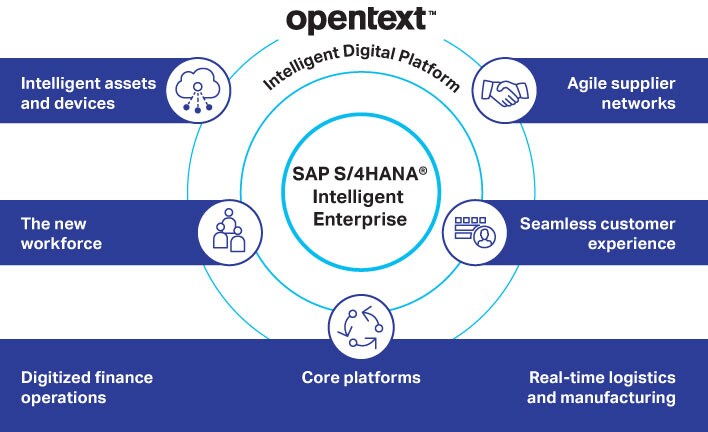 Screen shot of OpenText Solutions software.