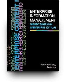 Enterprise Information Management: The Next Generation of Enterprise Software cover