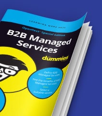 B2B Managed Services for Dummies guide cover image