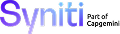 Syniti Logo