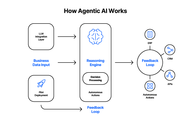 Diagram titled 'How Agentic AI Works' illustrating the process flow. On the left, inputs include LLM integration layer and pilot deployment labeled as business data input. These feed into a central reasoning engine with decision processing and autonomous actions. Output flows to a feedback loop connected to ERP, CRM, APIs, and autonomous actions. Feedback loop also connects back to pilot deployment.
